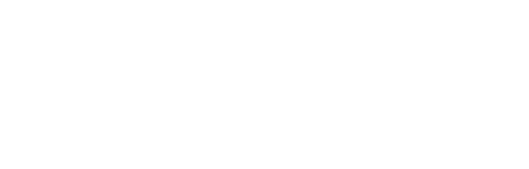 triumph logo